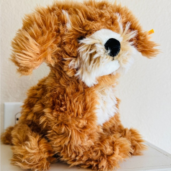 Curlie Cockapoo Puppy - Picture 6 of 7